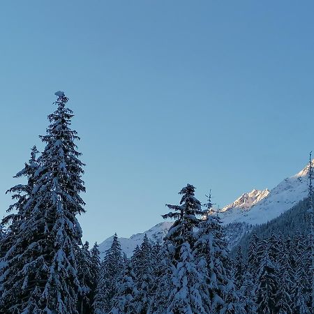 Mooshof Apartman Kaunertal Kültér fotó